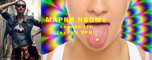 стаф Медногорск