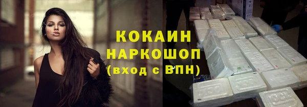 стаф Медногорск