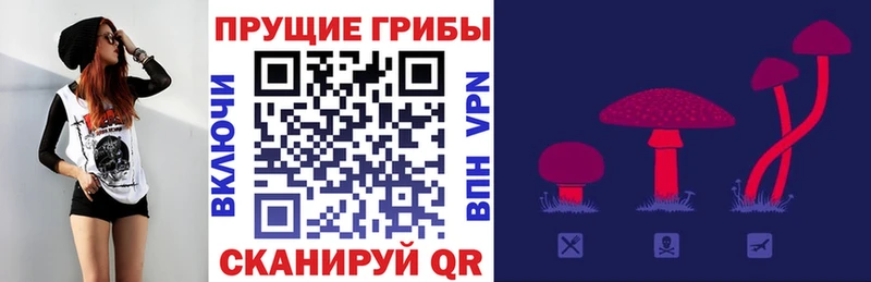 OMG зеркало Юрьевец Псилоцибиновые грибы мухоморы